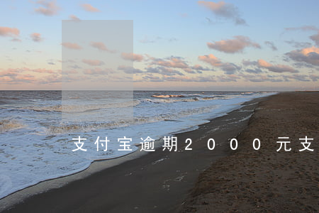 支付宝逾期2000元 支付宝逾期8000