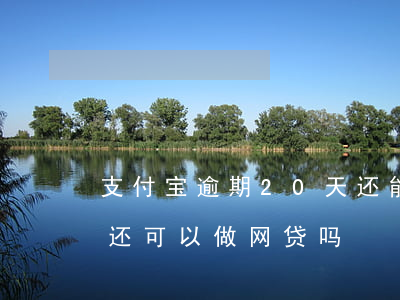 支付宝逾期20天还能网贷吗(支付宝逾期了还可以做网贷吗)