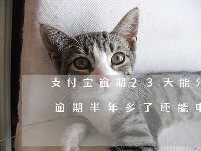 支付宝逾期23天能分期(支付宝逾期2万多,逾期半年多了,还能申请分期吗)