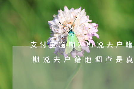 支付宝逾期2万说去户籍地调查-支付宝逾期说去户籍地调查是真的吗