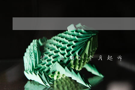 支付宝逾期2个月起诉