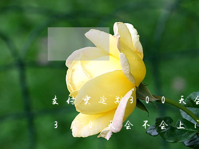 支付宝逾期300天会不会上门(支付宝逾期300天会不会上门)