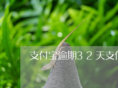 支付宝逾期32天(支付宝逾期38天)