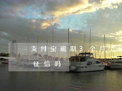 支付宝逾期3个月上征信(支付宝逾期三天上征信吗)