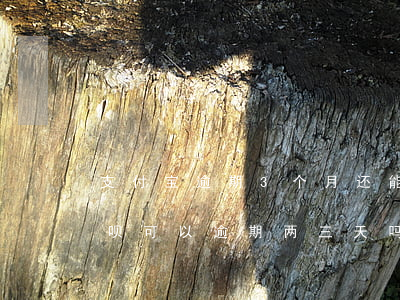 支付宝逾期3个月还能用花呗吗-支付宝花呗可以逾期两三天吗