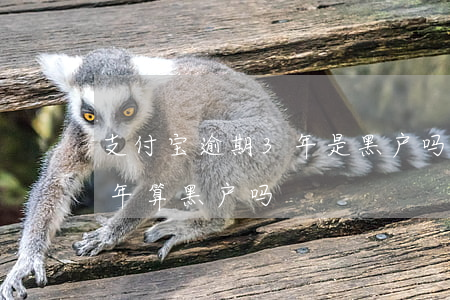 支付宝逾期3年是黑户吗(支付宝花呗逾期半年算黑户吗)