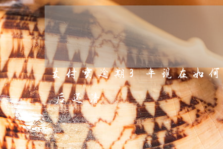 支付宝逾期3年现在如何还(支付宝逾期一年后还清)