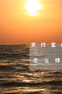 支付宝逾期3的后果-支付宝逾期三个月会怎么样
