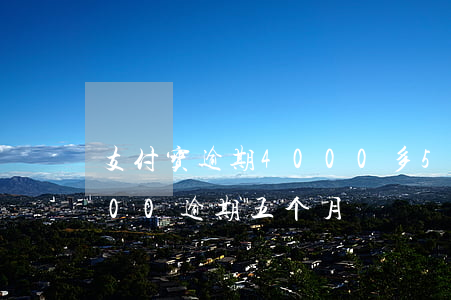 支付宝逾期4000多52天了(支付宝4000逾期五个月)