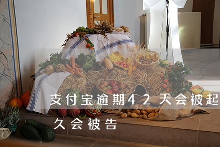 支付宝逾期42天会被起诉吗(支付宝逾期多久会被告)