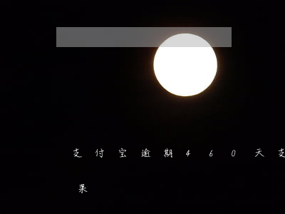 支付宝逾期460天(支付宝逾期41天的后果)