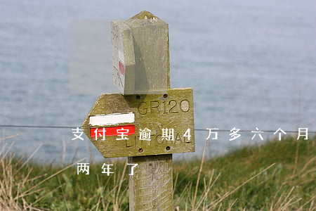 支付宝逾期4万多六个月-支付宝逾期五万两年了