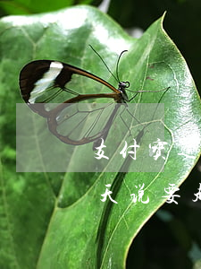 支付宝逾期4万说要起诉我(支付宝逾期40天说要起诉我)
