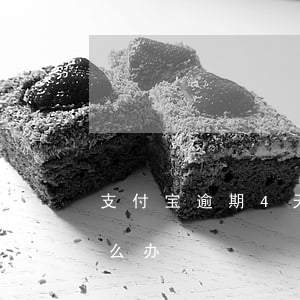 支付宝逾期4天如何处理(支付宝逾期5天怎么办)