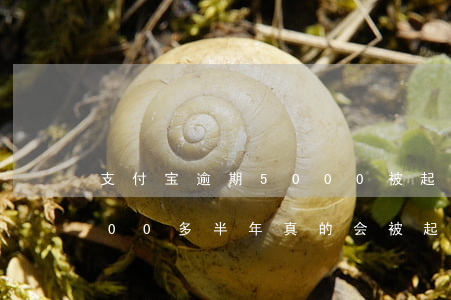 支付宝逾期5000被起诉(支付宝逾期5000多半年真的会被起诉吗?)