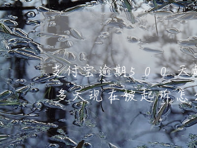 支付宝逾期500天起诉(支付宝逾期100多天 现在被起诉怎么办)