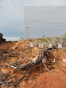 支付宝逾期50会上征信吗(支付宝逾期多少才会上征信)