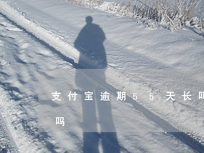 支付宝逾期55天长吗（支付宝逾期55天长吗）