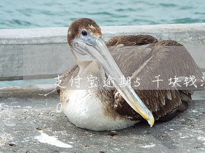支付宝逾期5千块钱没还(支付宝逾期5000元)