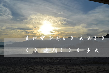支付宝逾期60天欠3000(欠支付宝6000逾期300多天)