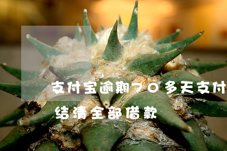 支付宝逾期70多天(支付宝逾期70多天让结清全部借款)