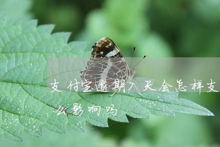支付宝逾期7天会怎样?（支付宝逾期8天有什么影响吗）