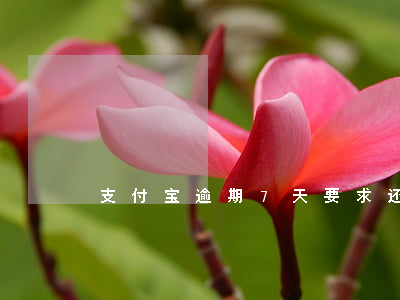 支付宝逾期7天要求还全款