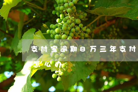 支付宝逾期8万三年(支付宝八万逾期两年多怎么办)