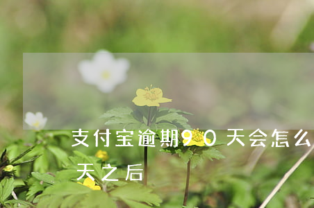 支付宝逾期90天会怎么办（支付宝逾期90天之后）