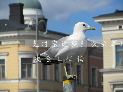 支付宝逾期9次会上报征信吗(支付宝逾期几次会上征信)
