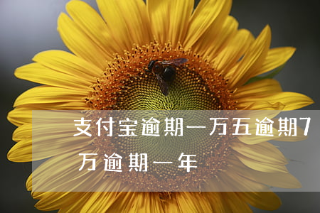支付宝逾期一万五逾期70天(支付宝逾期六万逾期一年)
