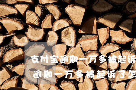 支付宝逾期一万多被起诉了怎么办-支付宝逾期一万多被起诉了怎么办呢