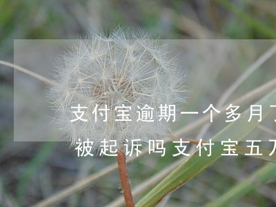 支付宝逾期一个多月了,说怀疑我诈骗,真的会被起诉吗?（支付宝五万逾期说我合同诈骗）
