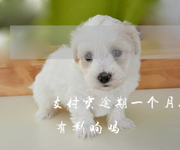 支付宝逾期一个月以上(支付宝逾期一个小时有影响吗)