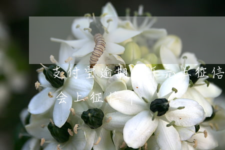 支付宝逾期一千元上征信吗 支付宝逾期一周会上征信不?
