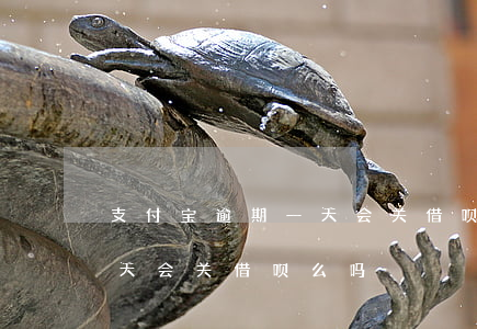 支付宝逾期一天会关借呗么-支付宝逾期一天会关借呗么吗