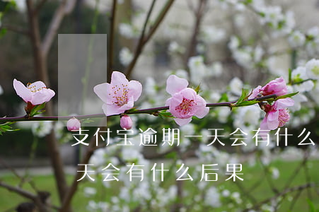 支付宝逾期一天会有什么后果(支付宝逾期一天会有什么后果)