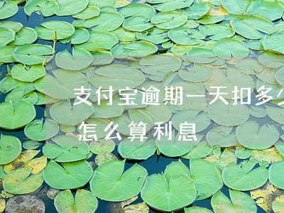 支付宝逾期一天扣多少利息(支付宝逾期一月怎么算利息)