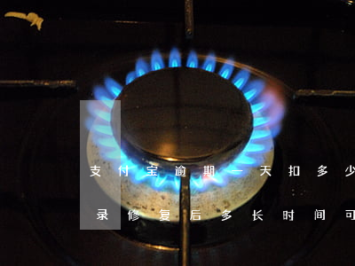 支付宝逾期一天扣多少芝麻分 支付宝逾期记录修复后多长时间可涨芝麻分