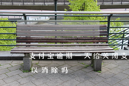 支付宝逾期一天给关闭(支付宝逾期了一天可以消除吗)