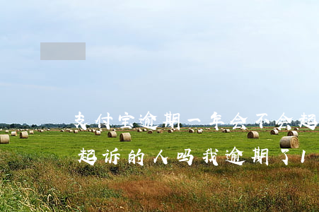 支付宝逾期一年会不会起诉上门(有被支付宝起诉的人吗我逾期了1年3个月了)