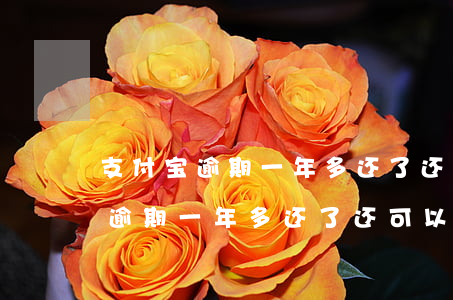 支付宝逾期一年多还了还可以用吗-支付宝逾期一年多还了还可以用吗