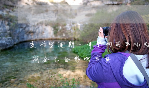 支付宝逾期一年影响买车吗(两年前支付宝逾期会不会影响车贷)