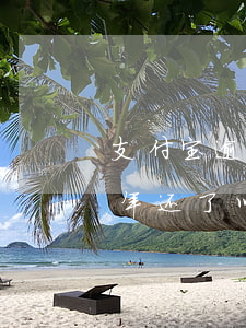 支付宝逾期一年能分期买车吗(支付宝逾期两年还了以后能贷款买车吗)