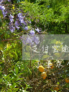 支付宝逾期一年还款额度(支付宝逾期半个月了要求全额还款)