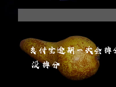 支付宝逾期一次会掉分吗（支付宝逾期两个月没掉分）