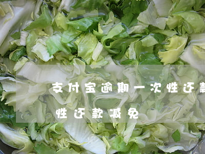 支付宝逾期一次性还款减免(支付宝逾期一次性还款减免)
