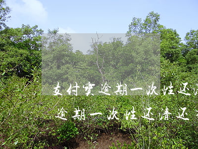 支付宝逾期一次性还清还有额度吗-支付宝逾期一次性还清还有额度吗?