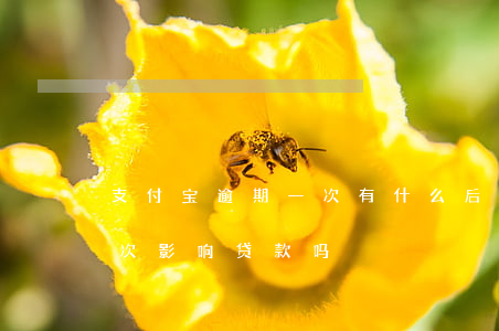 支付宝逾期一次有什么后果吗（支付宝逾期一次影响贷款吗）