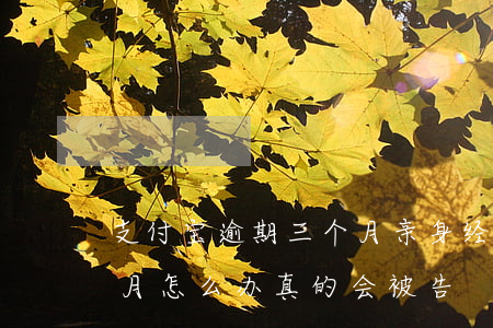 支付宝逾期三个月亲身经历 支付宝逾期3个月怎么办,真的会被告